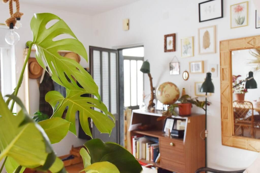 Bamboo House Aljezurアパートメント エクステリア 写真