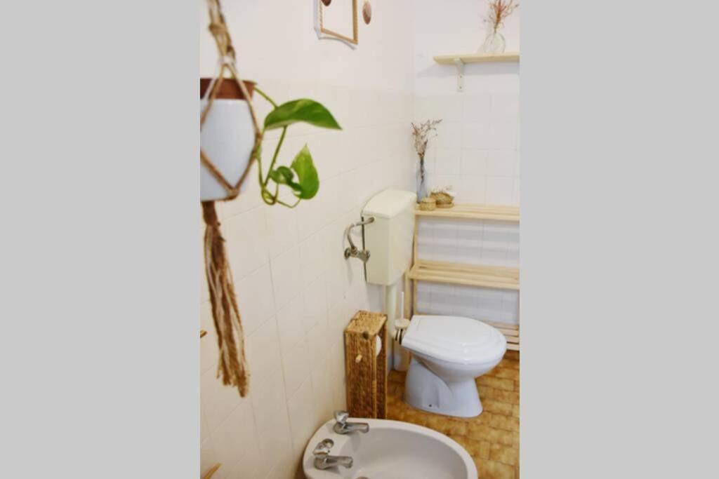 Bamboo House Aljezurアパートメント エクステリア 写真
