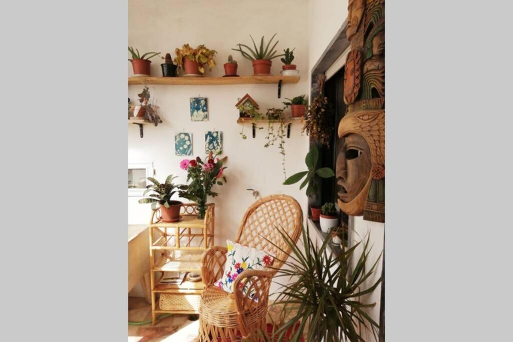Bamboo House Aljezurアパートメント エクステリア 写真